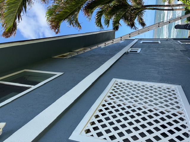 Same residence finished, deep blue siding smooth and complete, framed by palm fronds with the ocean visible beyond